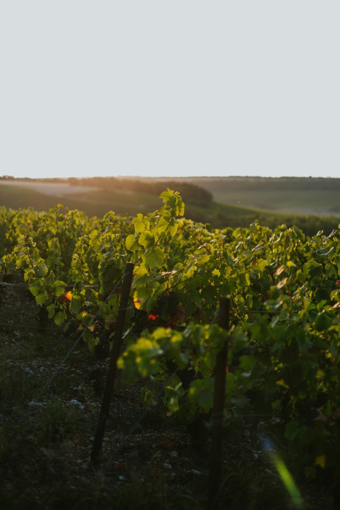 Hello World Featured Image